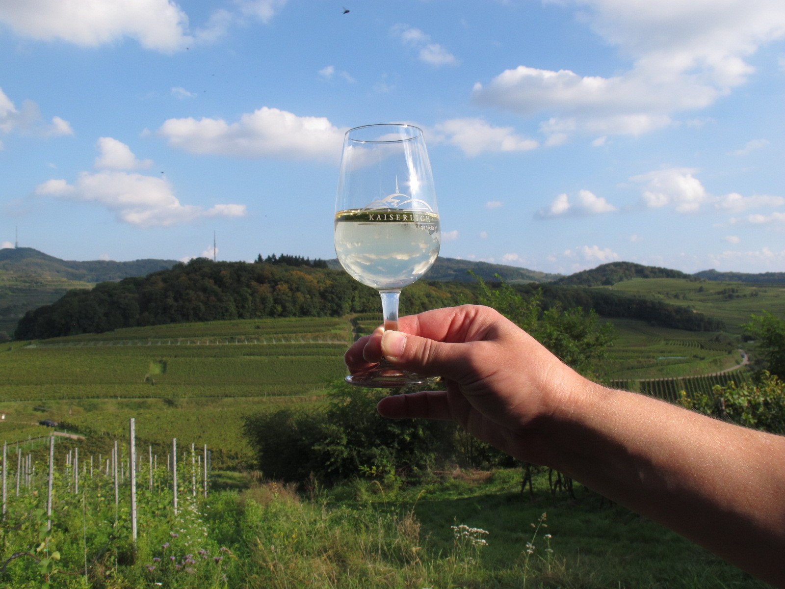 Weinausblick